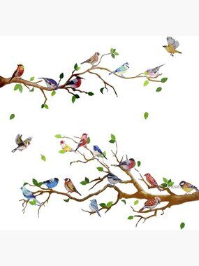 34x34 Inch Vinyl Wall Decals, Removable Bird Tree Murals for Bedroom Office
